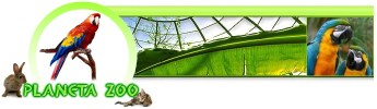 Sklep Online